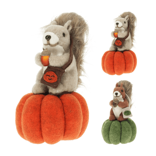 Alpha 55 Écureuil Assis sur Citrouille 22 x 15 cm – Déco Automne