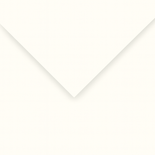 Alpha 55 Feuille dessin canson 49