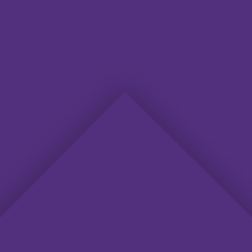 Alpha 55 Feuille dessin canson 54