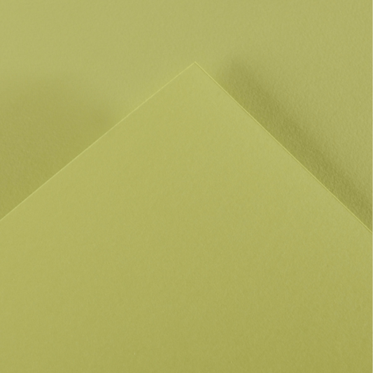 Alpha 55 Feuille dessin canson 88