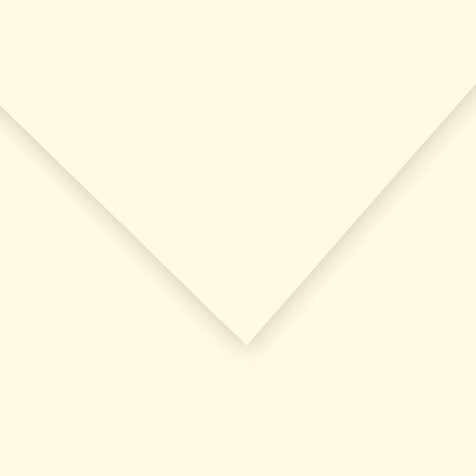 Alpha 55 Feuille dessin canson casse 48