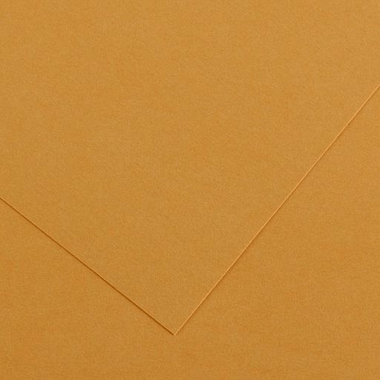 Alpha 55 Feuille dessin canson cuir 32