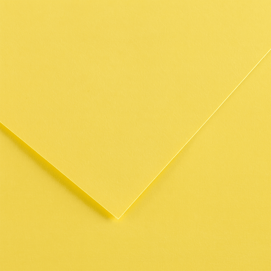 Alpha 55 Feuille dessin canson paille 03