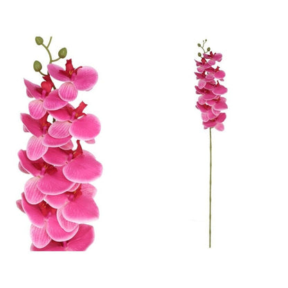 Alpha 55 Fuchsia Branche orchidée