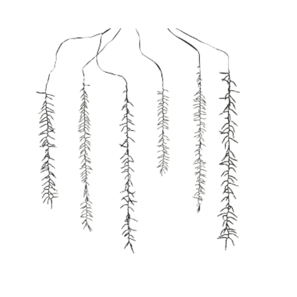 Alpha 55 Guirlande lumineuse cascade 480 LED