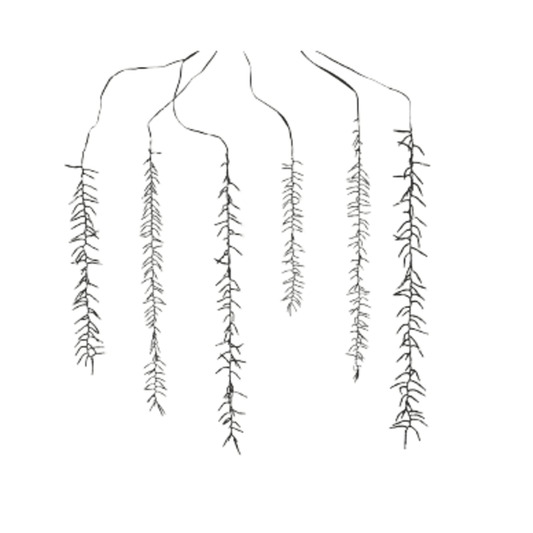 Alpha 55 Guirlande lumineuse cascade 480 LED