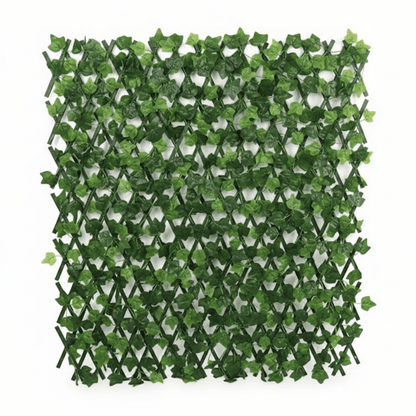 Alpha 55 Haie extensible feuillage vert décorative extérieure