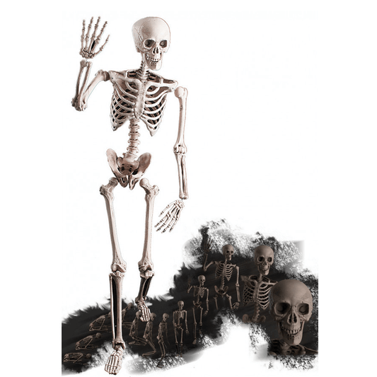 Alpha 55 Halloween déco , déco à poser Squelette 160 cm