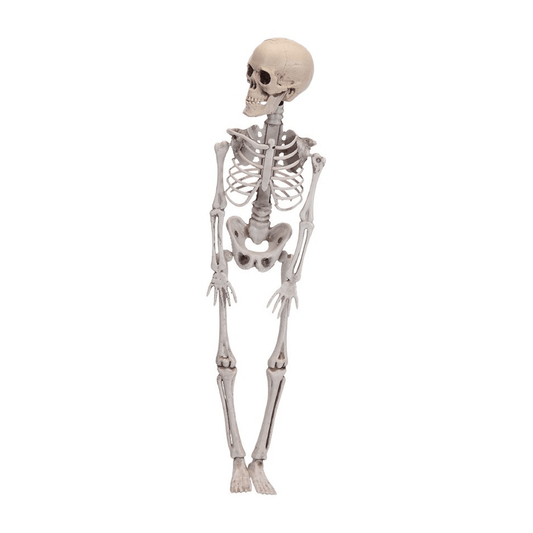 Alpha 55 Halloween, déco Squelette 42 cm