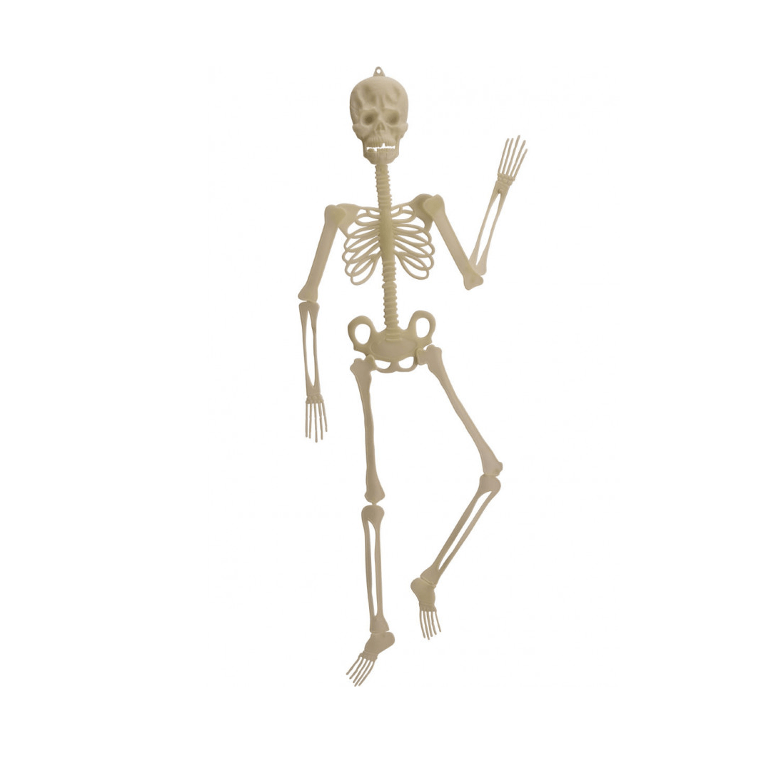 Alpha 55 Halloween, déco Squelette glow in the dark 150 cm
