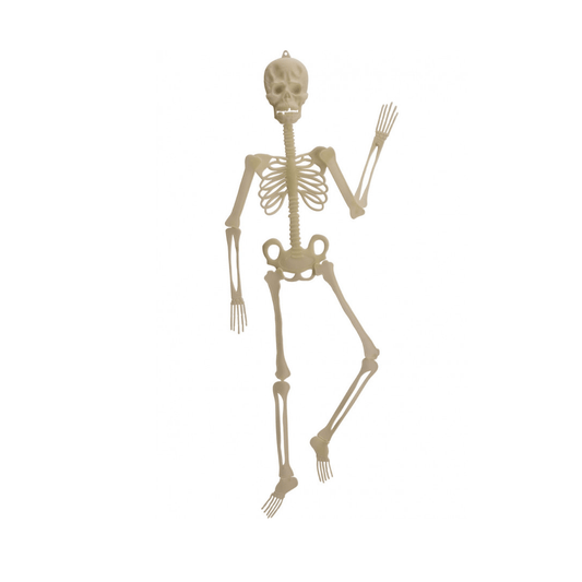 Alpha 55 Halloween, déco Squelette glow in the dark 150 cm