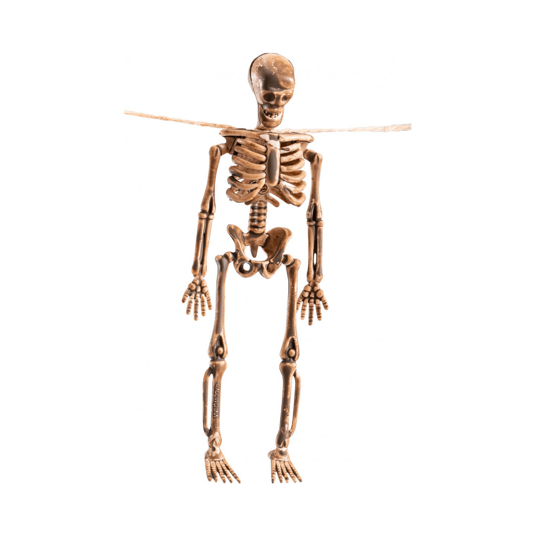 Alpha 55 Halloween, guirlande Squelette 105 cm