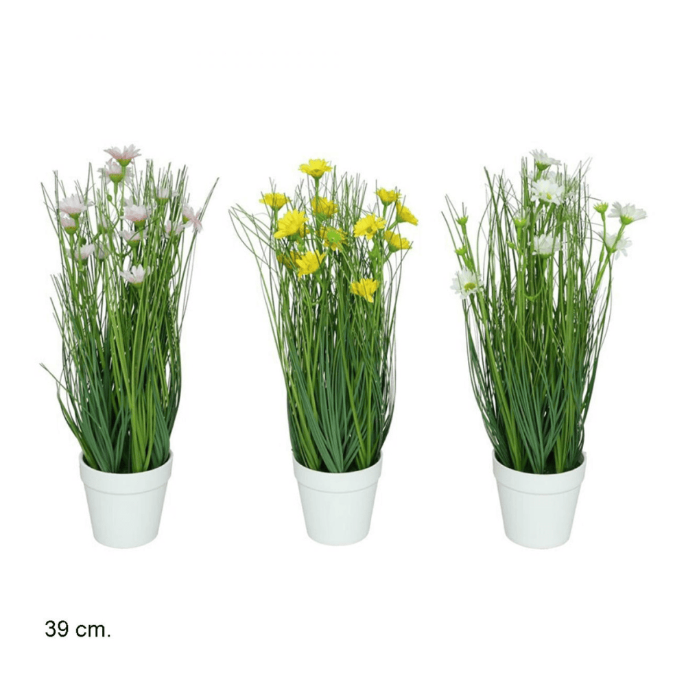 Alpha 55 Herbe marguerite en pot céramique déco