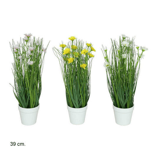 Alpha 55 Herbe marguerite en pot céramique déco