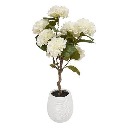 Alpha 55 Hortensia Mika blanc en pot céramique – Élégant