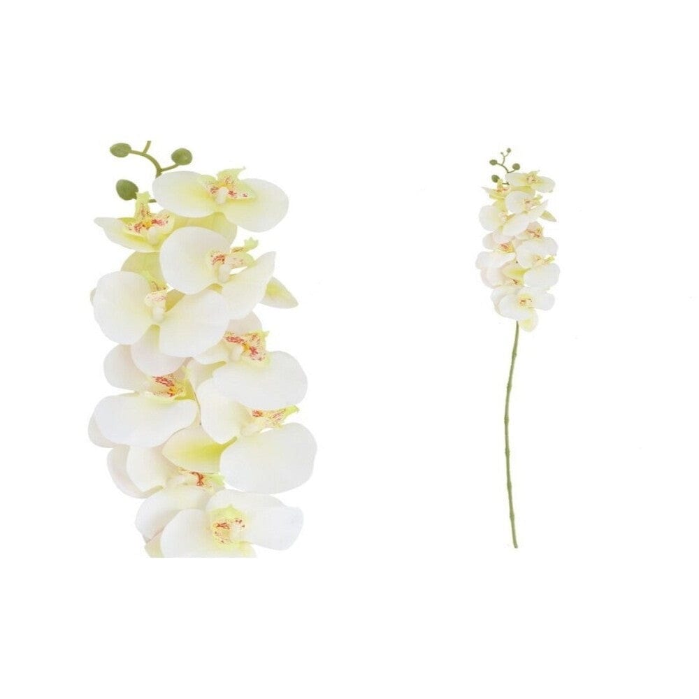 Alpha 55 Ivoire Branche orchidée x9