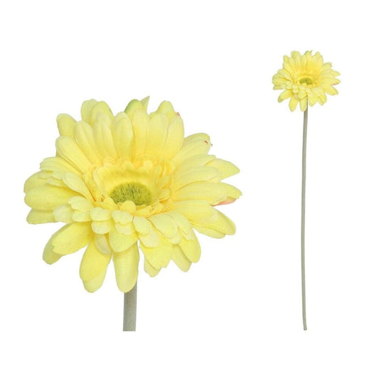 Alpha 55 Jaune Tige de gerbera micropeach