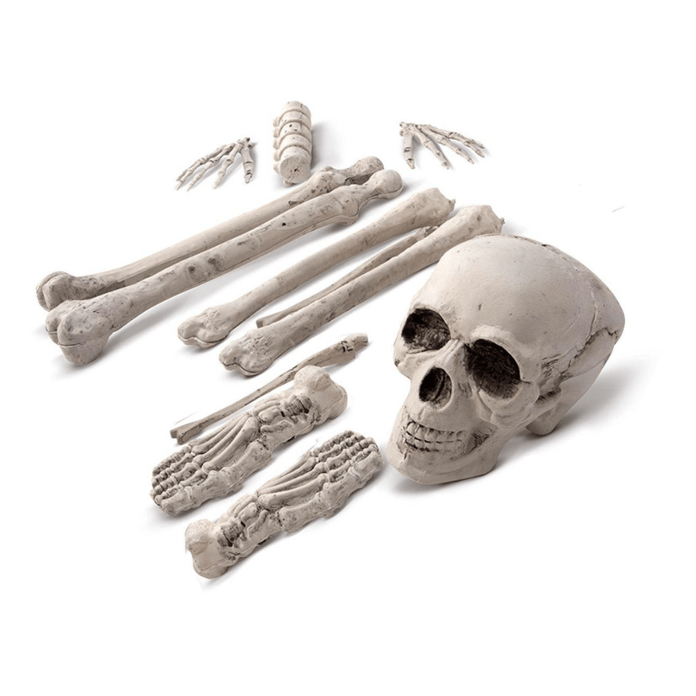 Alpha 55 Lot de 12 Os – Décoration Halloween