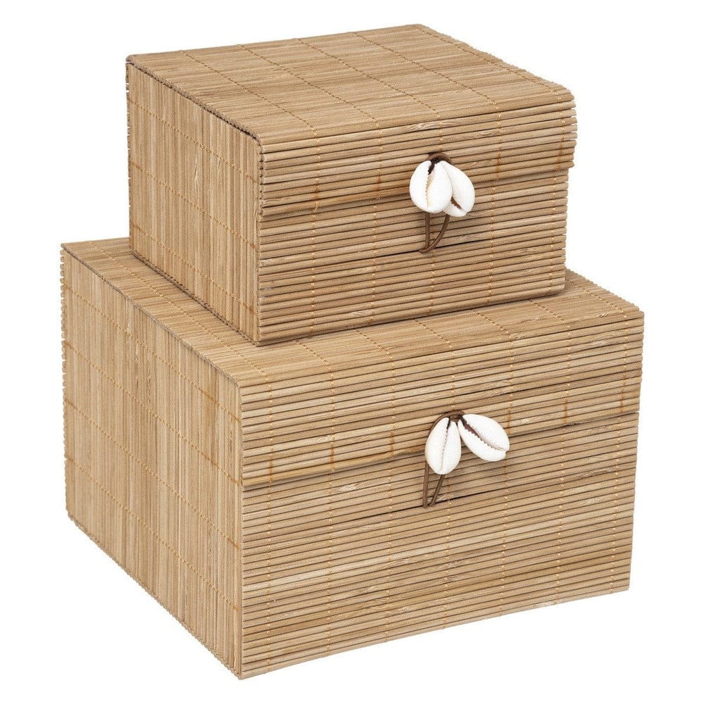 Alpha 55 Lot de 2 boîtes de rangement "tropical" en bambou