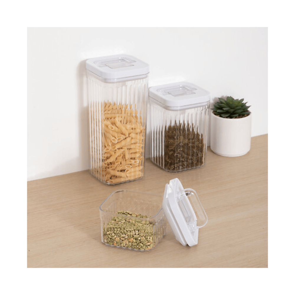 Alpha 55 Lot de 3 boîtes de conservation Streaks