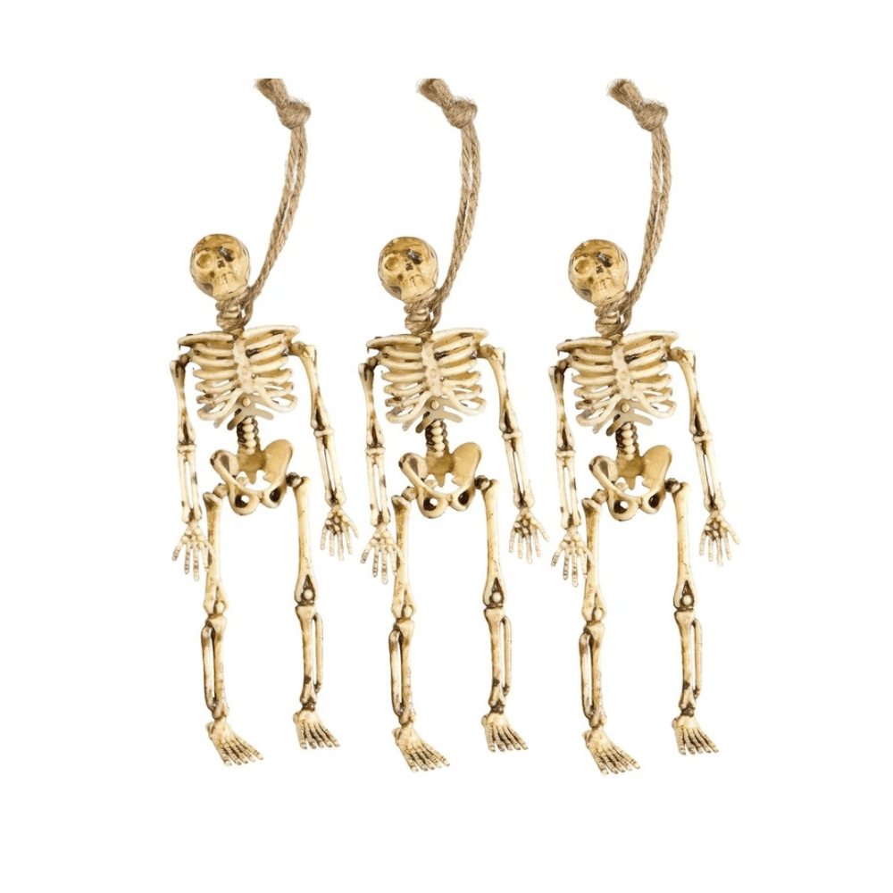 Alpha 55 Lot de 3 Squelettes 15 cm Décoration Halloween