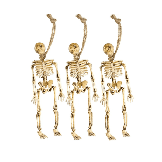 Alpha 55 Lot de 3 Squelettes 15 cm Décoration Halloween