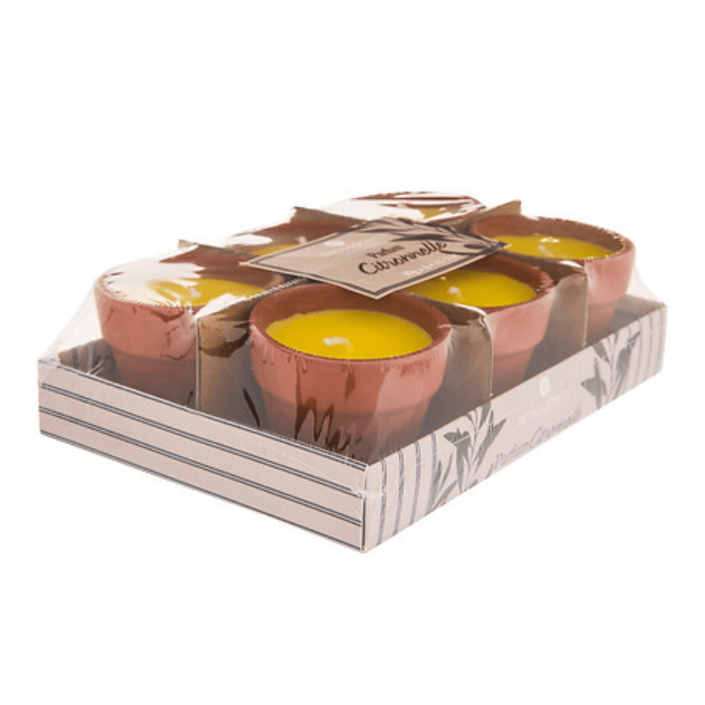 Alpha 55 Lot de 6 Bougies Terry 40 g Terracotta Citronnelle