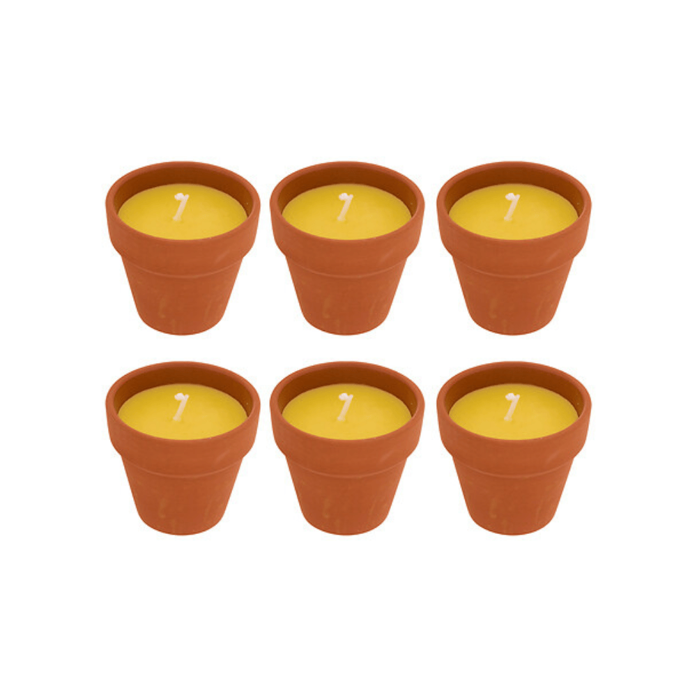 Alpha 55 Lot de 6 Bougies Terry 40 g Terracotta Citronnelle