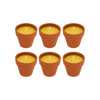 Alpha 55 Lot de 6 Bougies Terry 40 g Terracotta Citronnelle