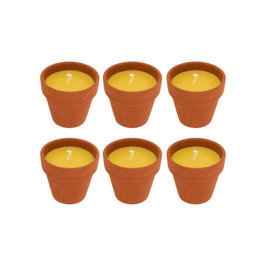 Alpha 55 Lot de 6 Bougies Terry 40 g Terracotta Citronnelle
