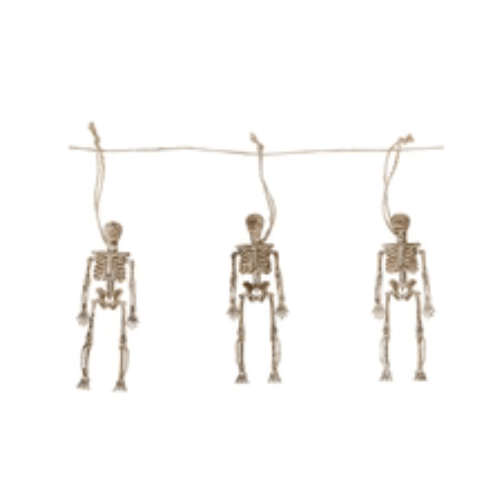Alpha 55 Lot de 8 Squelettes 15 cm Décoration Halloween