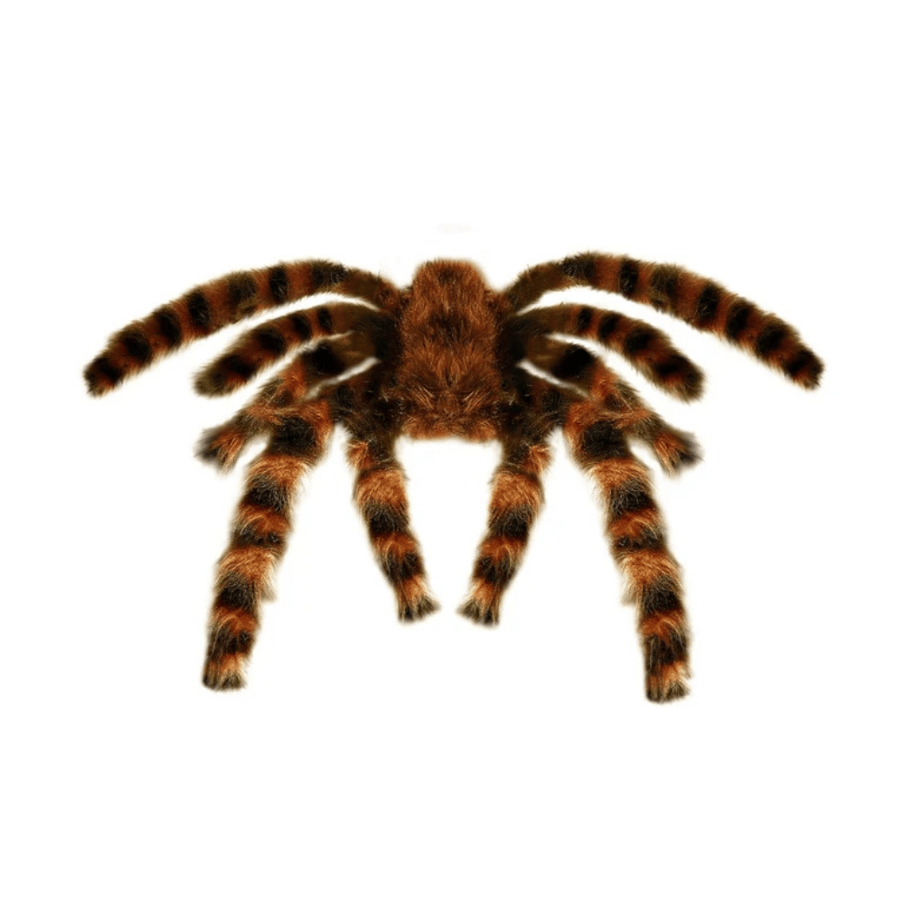 Alpha 55 Marron Araignée Poilue Marron 65 cm – Déco Halloween
