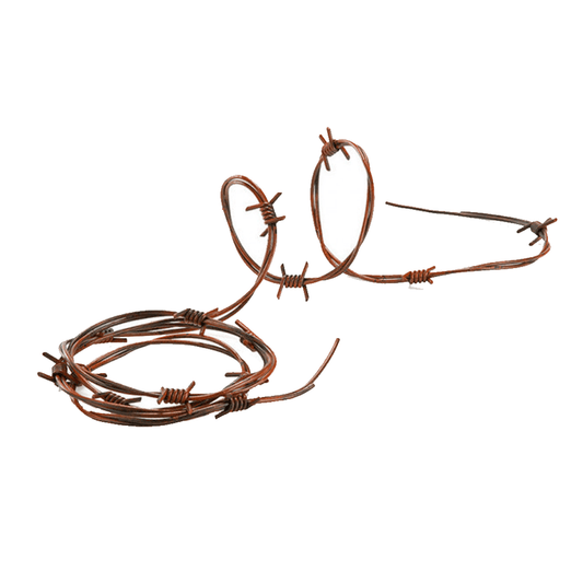 Alpha 55 Marron Fil barbelé décoratif