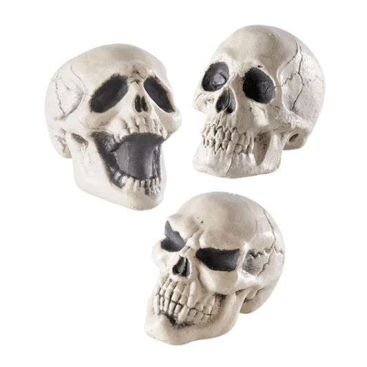 Alpha 55 menottes Crâne 12 cm 3 Assortiments Décoration Halloween