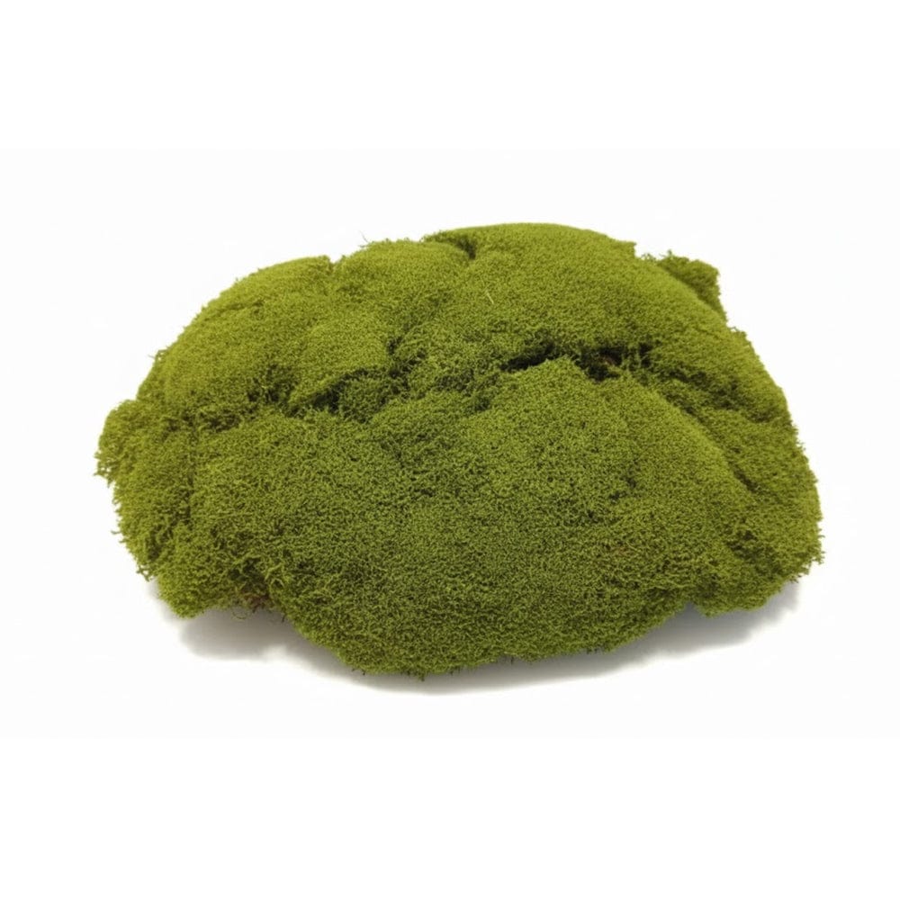 Alpha 55 Mousse artificielle décorative naturelle