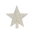 Alpha 55 Noël, déco à suspendre : Cimier en plastique étoile blanc 20 x 20 x 2 cm
