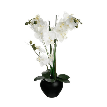 Alpha 55 Noir Orchidée Alini décorative avec vase en céramique