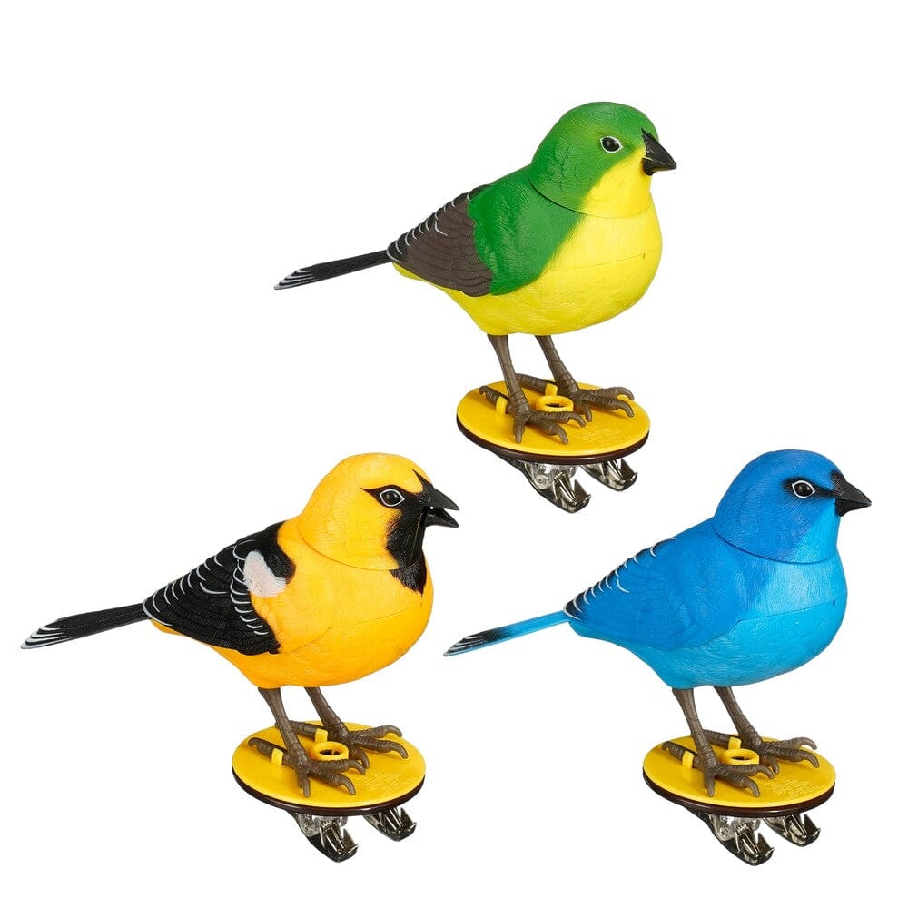 Alpha 55 Oiseau avec Son – Décoration Animée & Naturelle