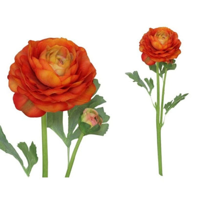 Alpha 55 Orange clair Tige de 2 fleurs de renoncule