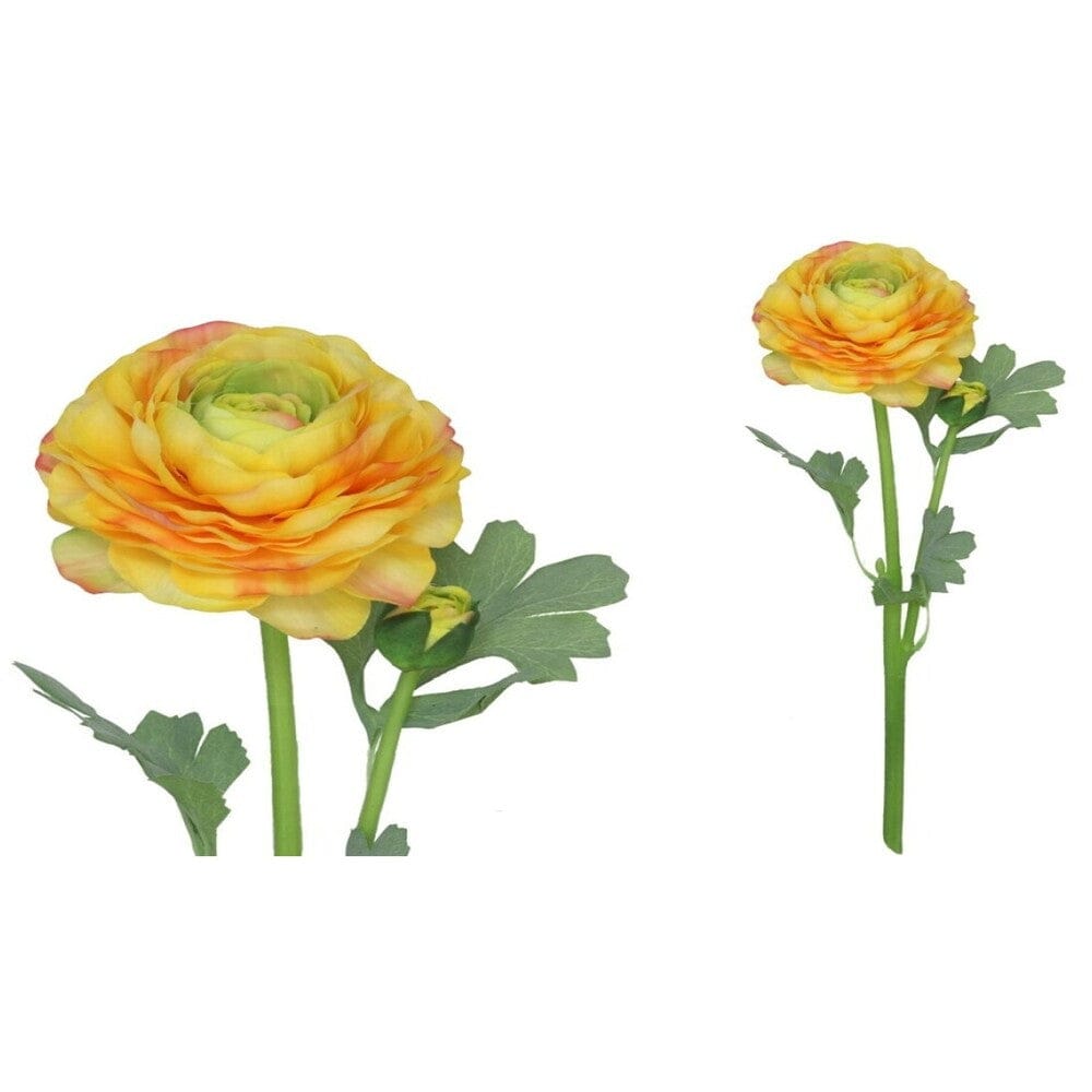 Alpha 55 Orange Tige de 2 fleurs de renoncule