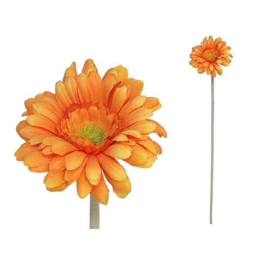 Alpha 55 Orange Tige de gerbera micropeach