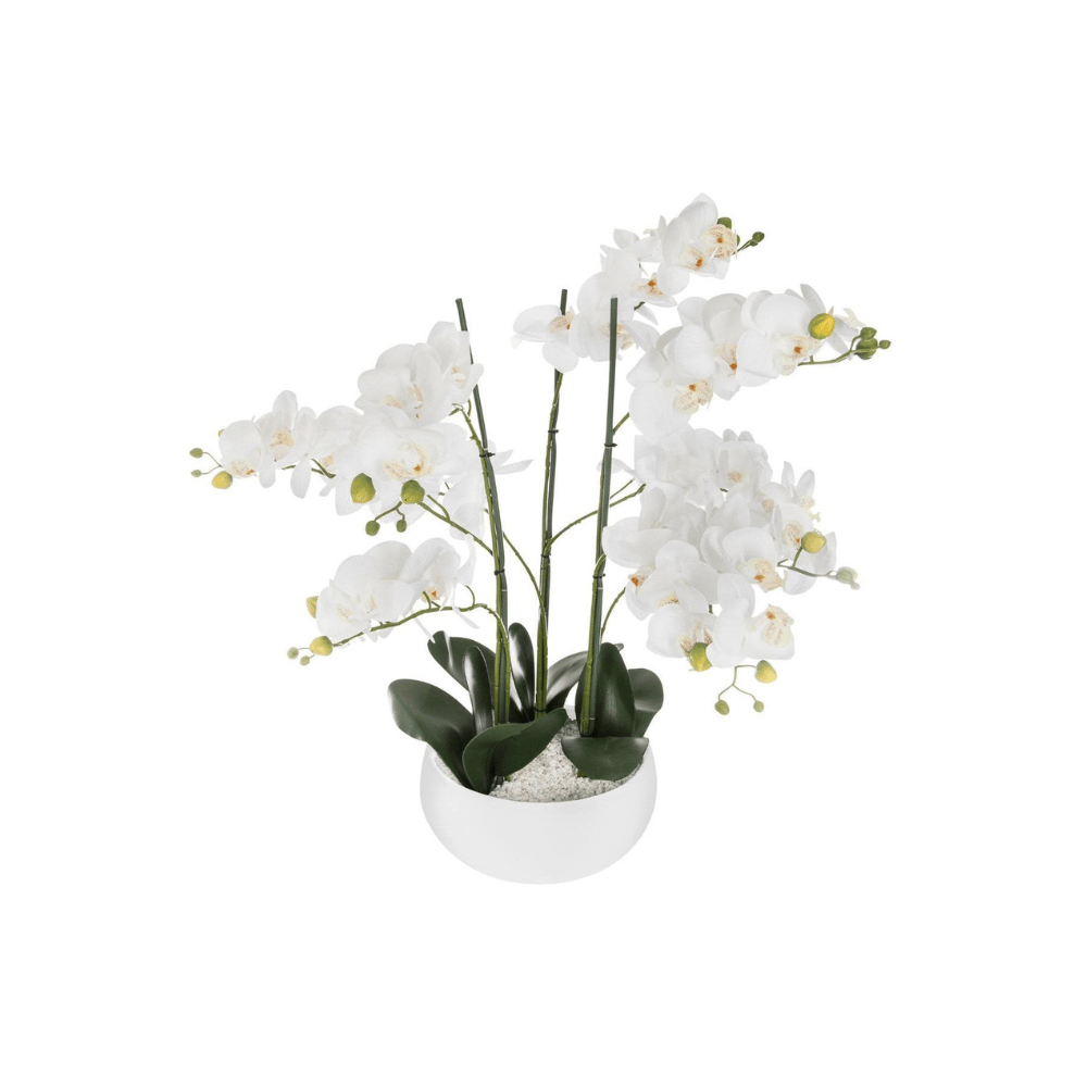 Alpha 55 Orchidée artificielle pot blanc – Élégante & réaliste