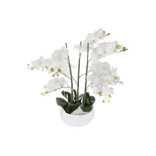 Alpha 55 Orchidée artificielle pot blanc – Élégante & réaliste