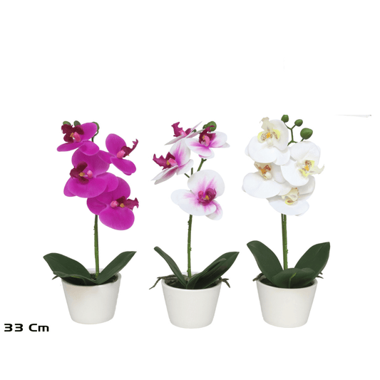 Alpha 55 Orchidée en pot céramique déco élégante