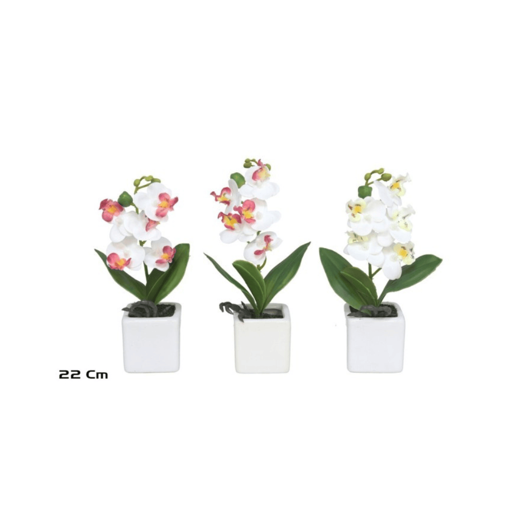 Alpha 55 Orchidée Real Touch en pot céramique déco