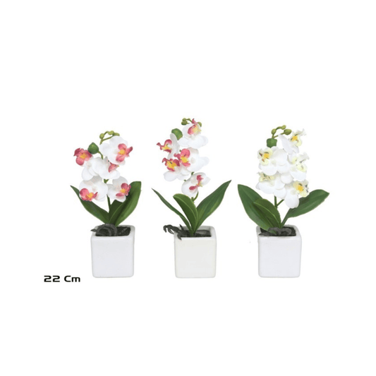 Alpha 55 Orchidée Real Touch en pot céramique déco