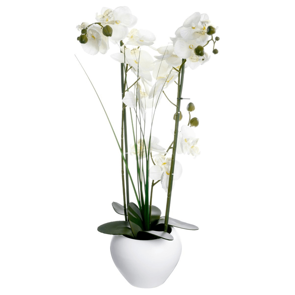 Alpha 55 Orchidée vase céramique 53 cm