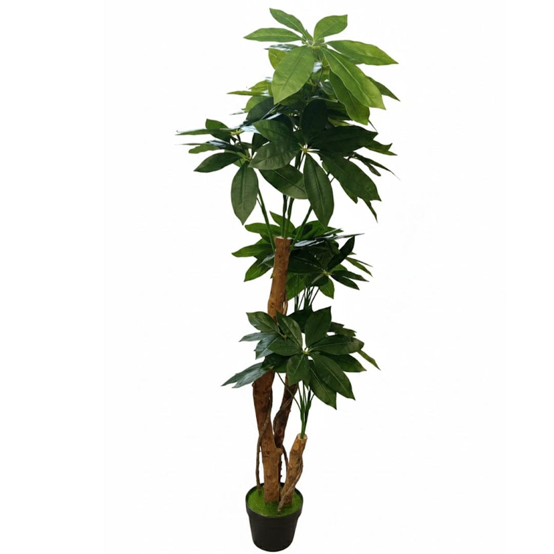 Alpha 55 Pachira Artificiel Premium – Arbre de Chance & Design Chic