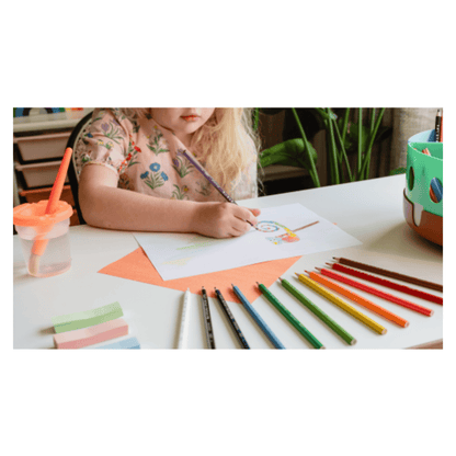 Alpha 55 Pack de 12 BIC Kids Aqua Crayons de Couleur