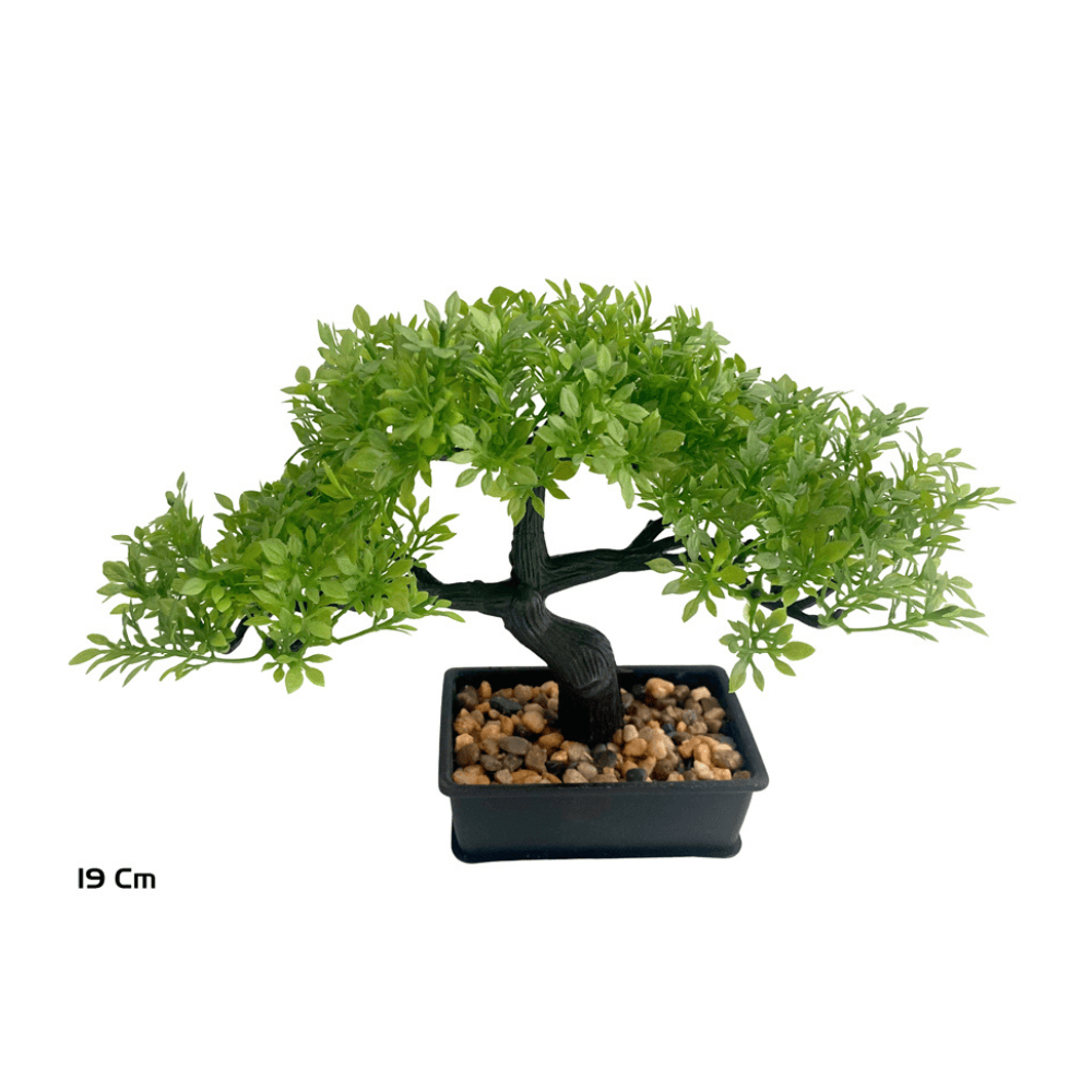 Alpha 55 Peite Bonsaï en pot plastique vert déco